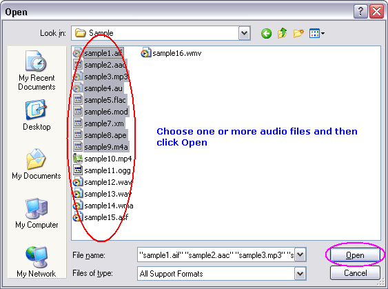 Choose one or more MPEG files